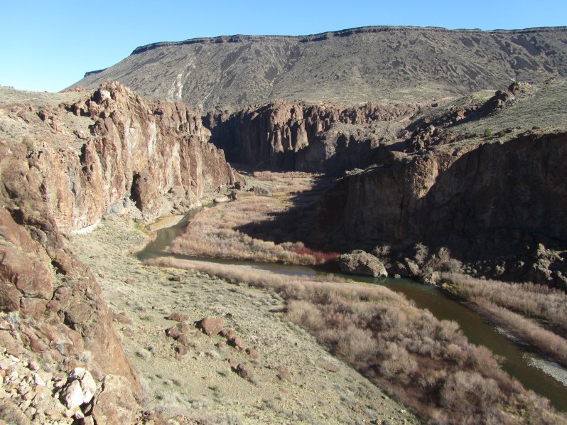 Bruneau Canyon