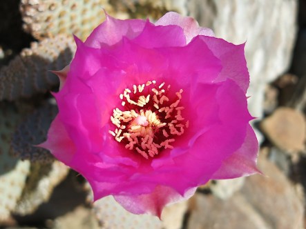 Can you fully appreciate its beauty if you don't know its name?