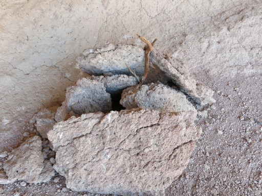 Top view with sticks still intact.