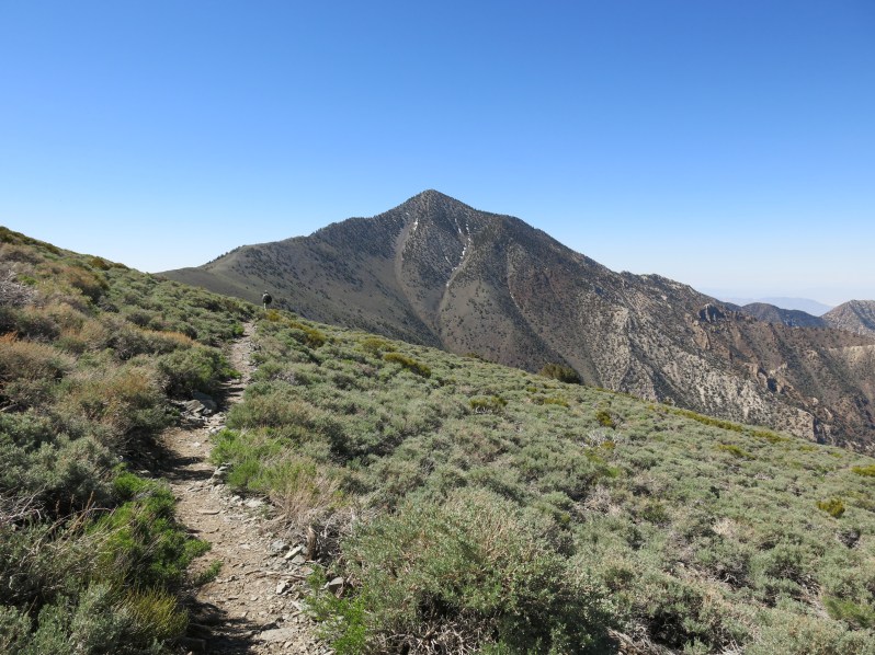 Telescope Peak looms above the trail. Imagine what this will look like with Xanterra's lodge perched here. Will our hero foil this evil plan?