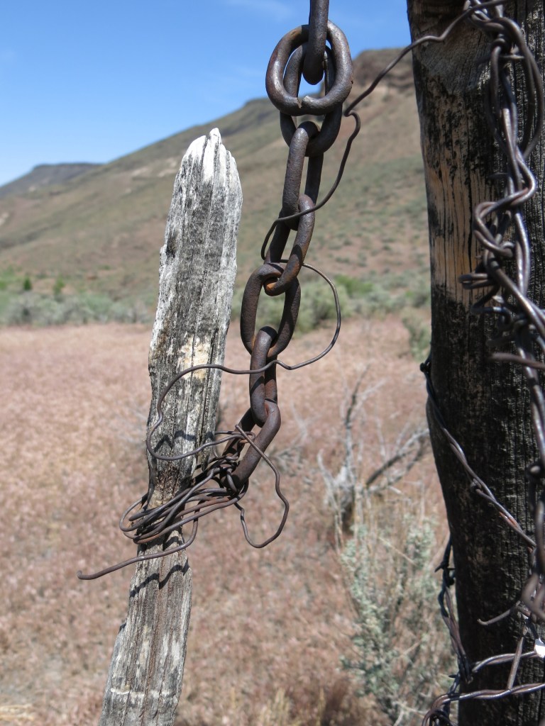 How old is this fence?