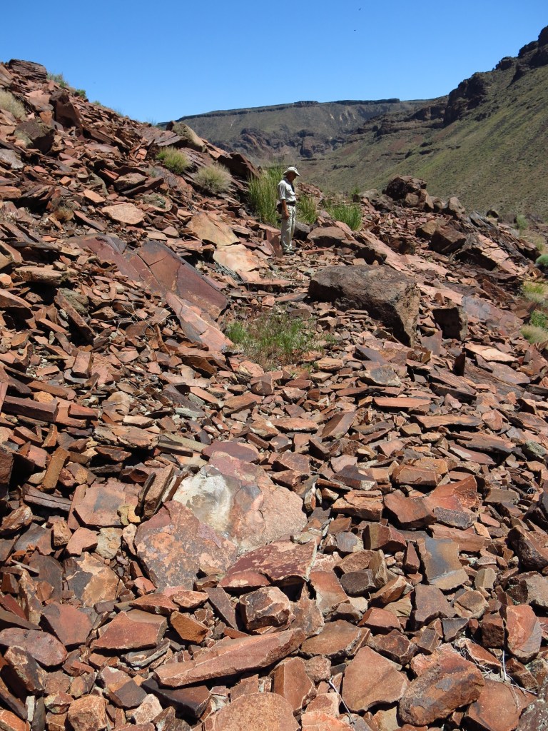 Larry surveys the river from the hot, rocky trail. Where are the trout?