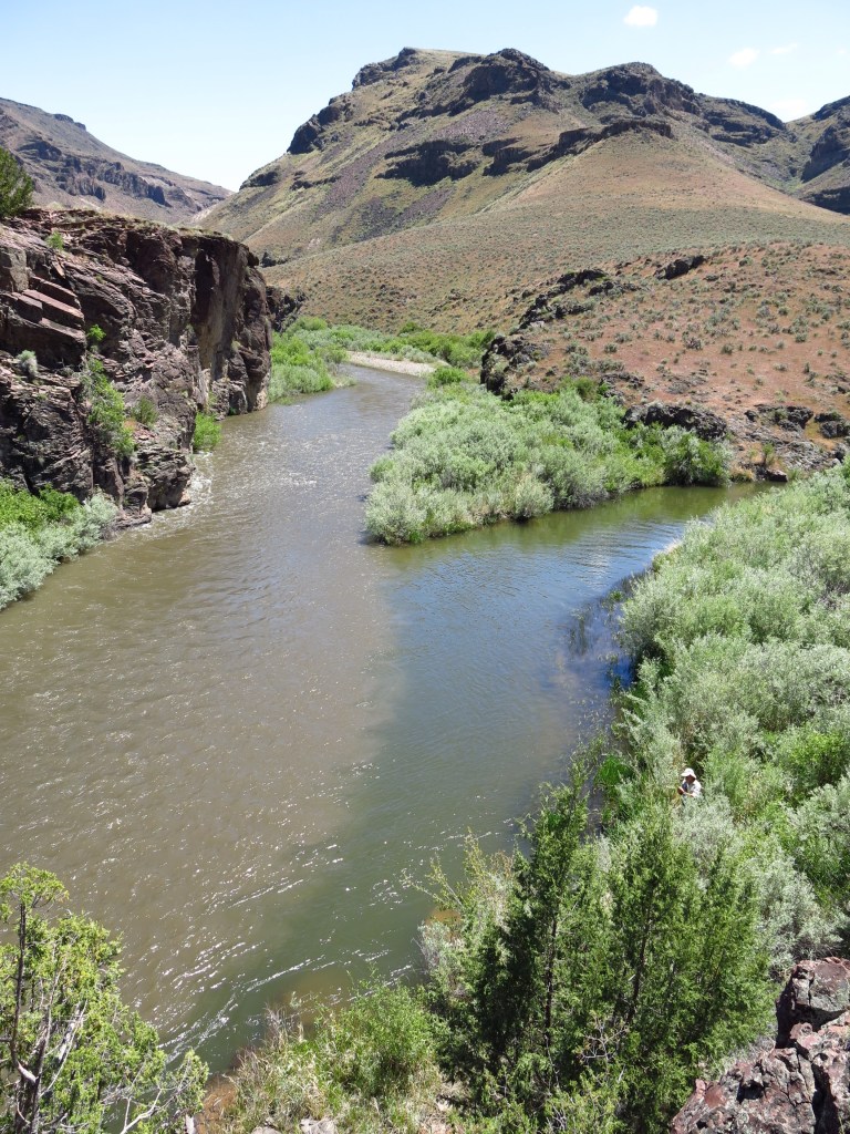 Confluence of the Bruneau (clear) and Jarbidge (muddy) rivers. The Jarbidge is muddy because ??XX??.