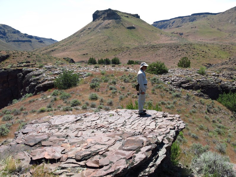 Here fishy, fishy . . .