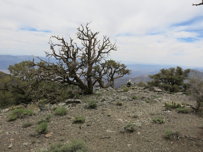 Larry leads the way while I goof around taking pictures.