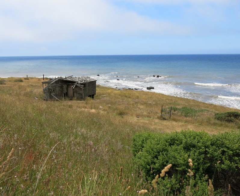 We were surprised to learn that this section of the coast had once attracted many homesteaders. Their lonely cabins are still standing.