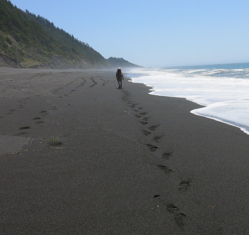 After three days of slogging through the sand and picking up strange things off the beach, Larry decides he's had enough. Good-bye lost coast . . . 