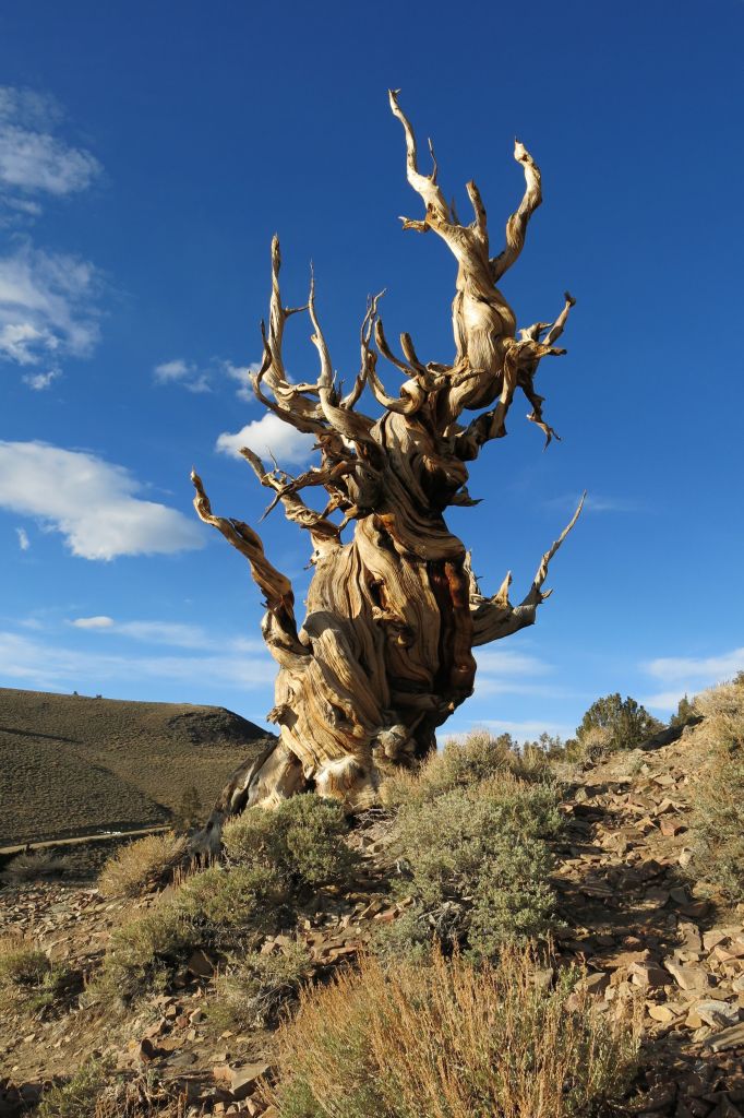 And I thought Larry was old . . .