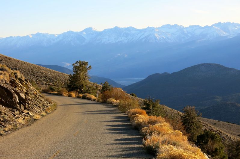 The Ancient Bristlecone Pine Forest in Inyo County, California, is well worth a visit. 
