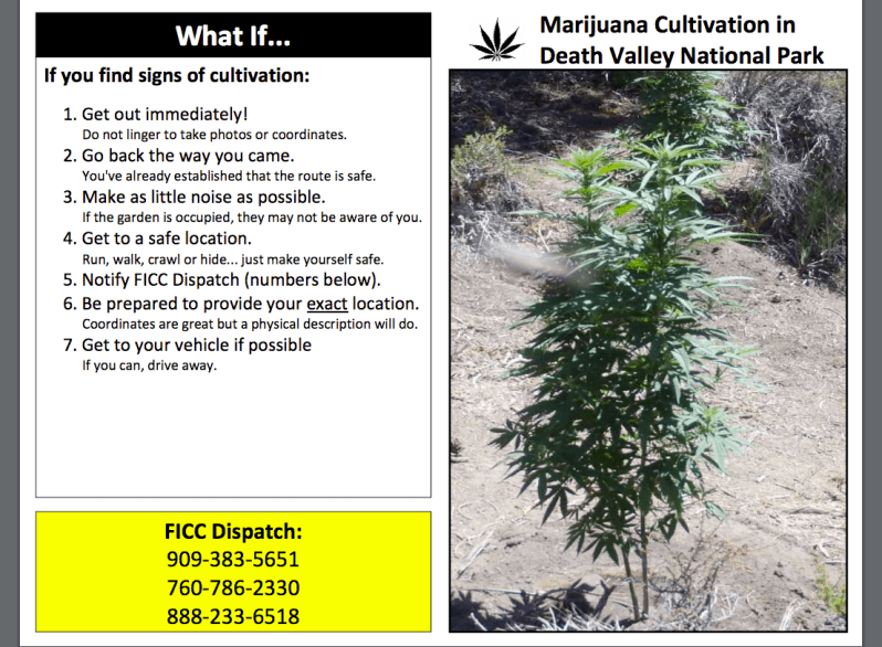 Screen Shot 2016-04-29 at 4.11.44 PM