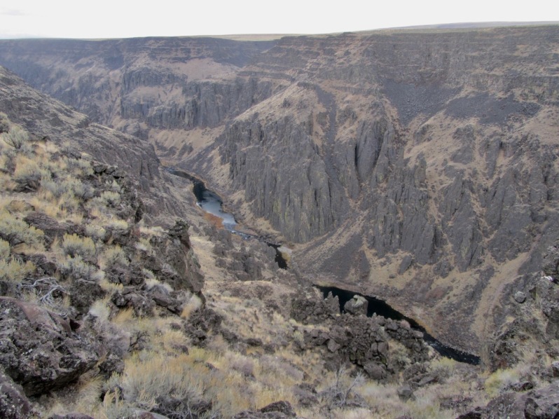 31 Owyhee above Soldier Creek confluence