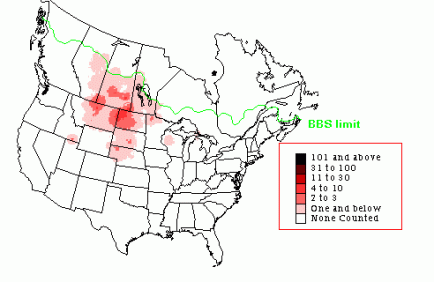 Sharpie distribution