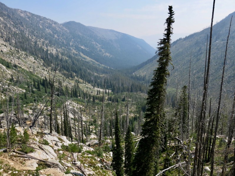 35 Upper Victor Cr  burnt valley