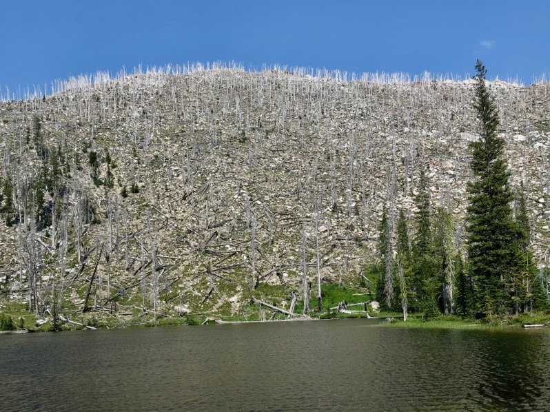 44 next route, next time