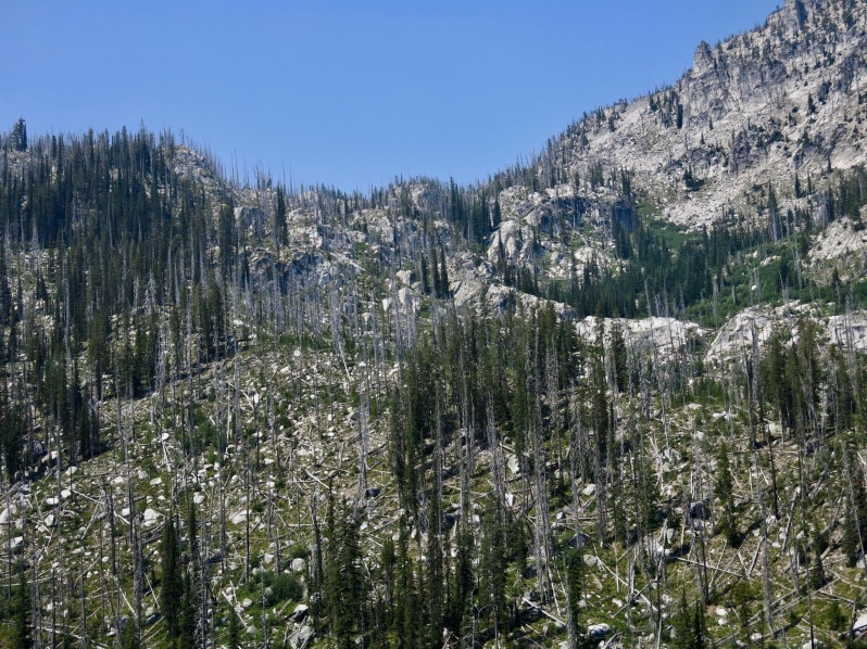 45 Victor trail route up