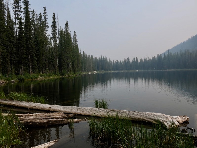 53 Lake Rock Lake unburnt