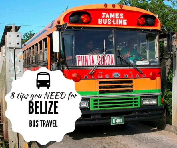 Bus Screen Shot 2018-12-07 at 3.14.16 PM